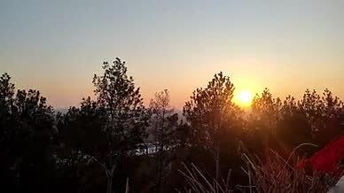 夕阳阳光树林拍摄落阳视频视频的预览图